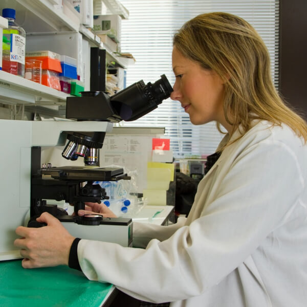 Why us Pharma Company Template Research